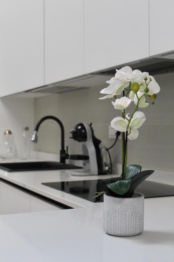 Viale Trento 16 Apartment *