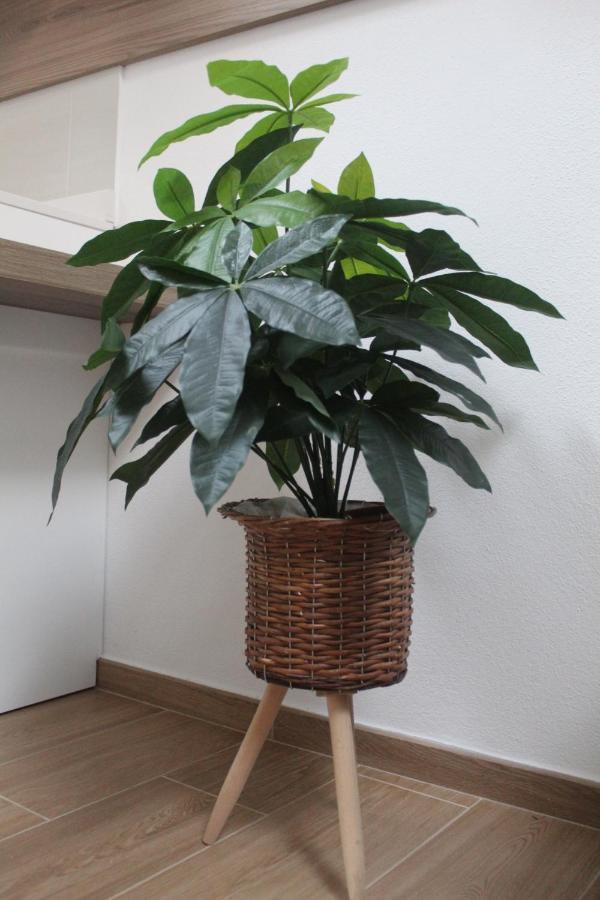 Apartment Viale Trento 16 *